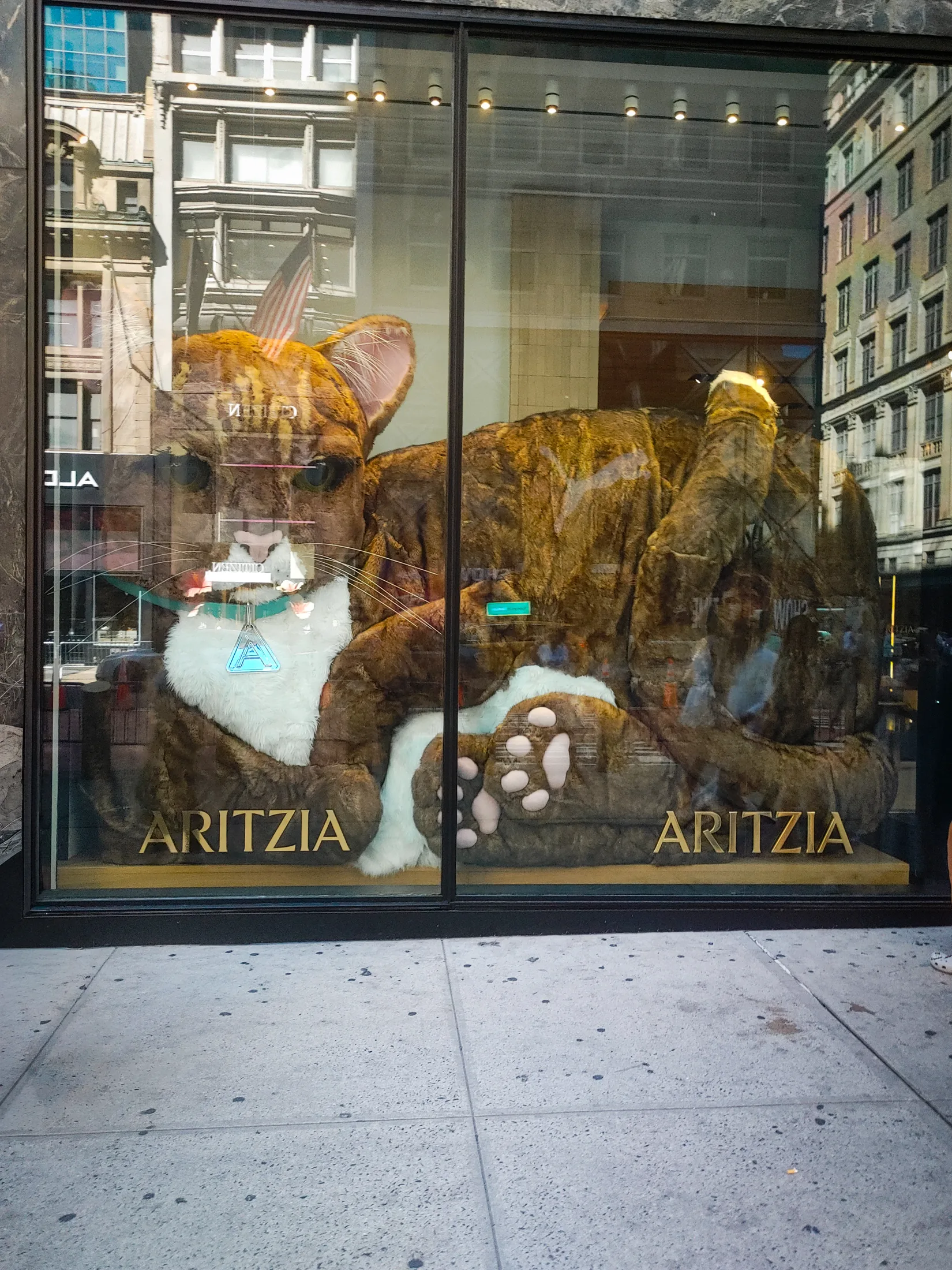 Large cat sculpture in a shop window layered with reflections of surrounding buildings