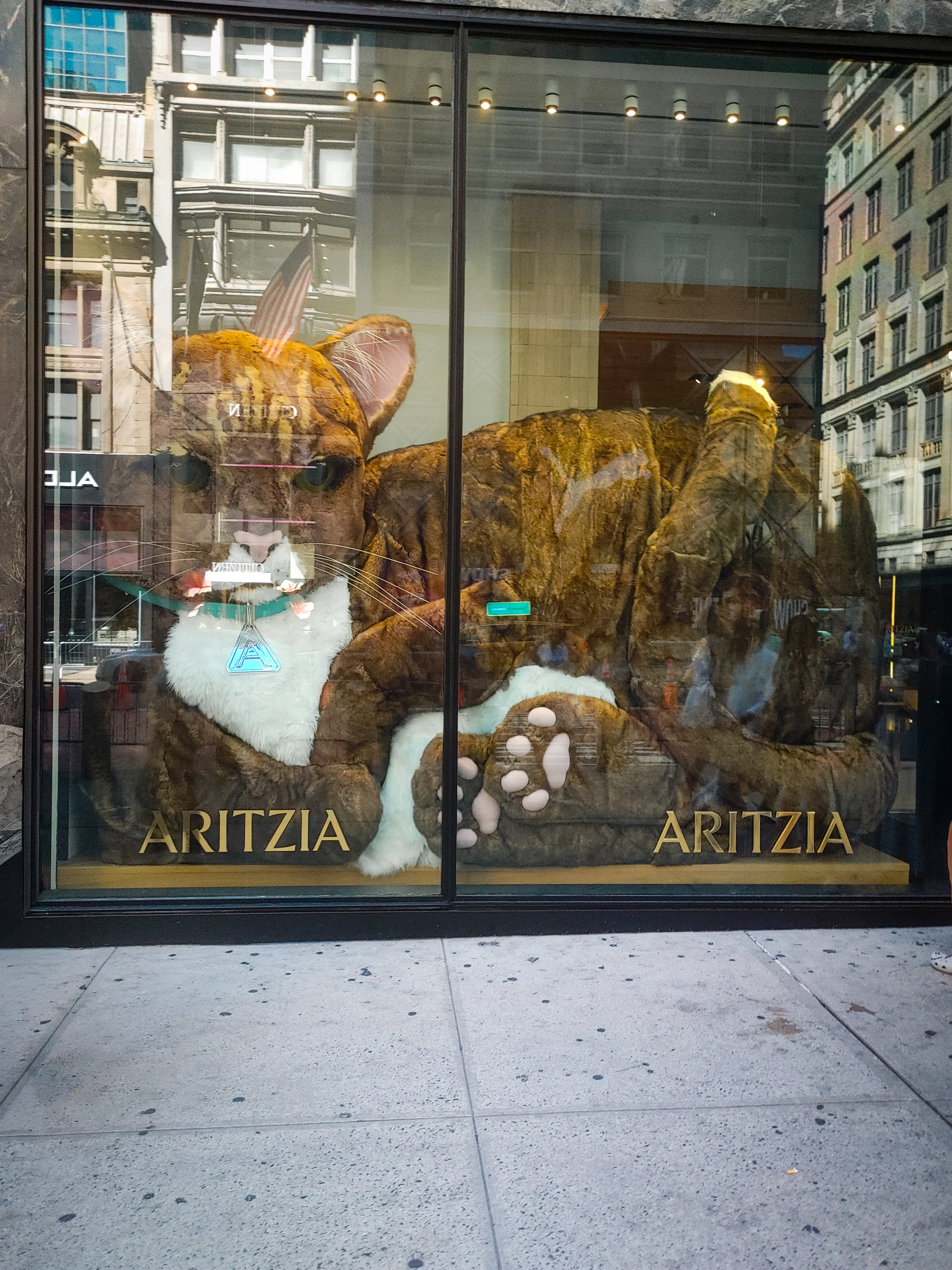 Large cat sculpture in a shop window layered with reflections of surrounding buildings